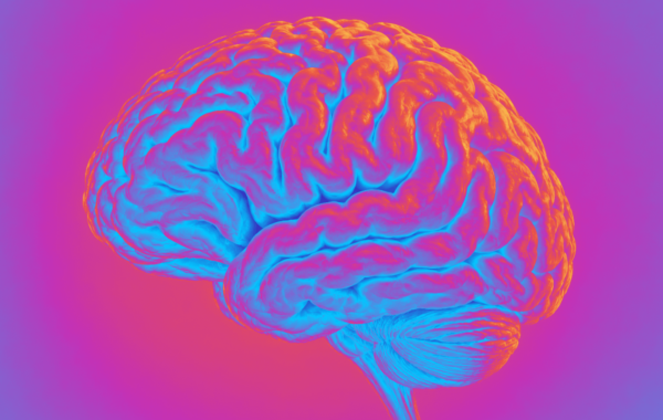 Niebla mental, diagnósticos erróneos y carreras truncadas: Cerebella quiere cerrar la brecha en la menopausia