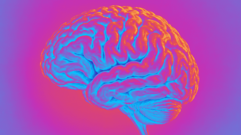 Niebla mental, diagnósticos erróneos y carreras truncadas: Cerebella quiere cerrar la brecha en la menopausia