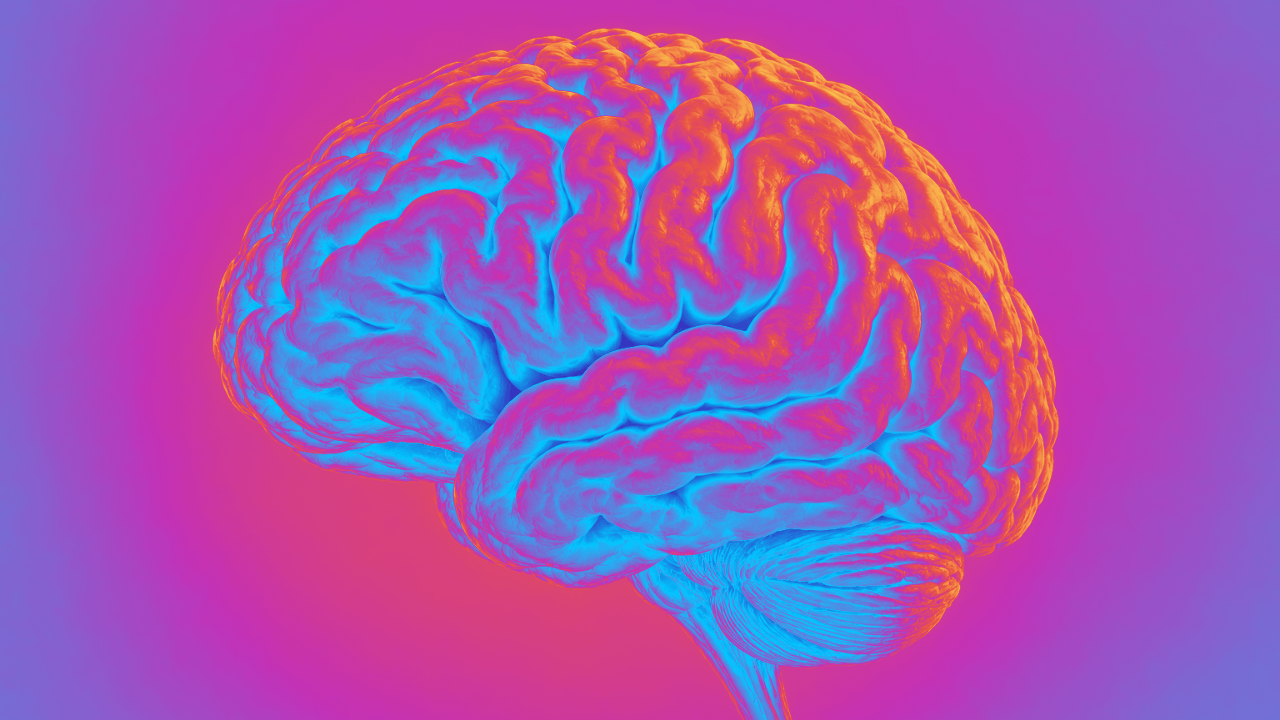 Niebla mental, diagnósticos erróneos y carreras truncadas: Cerebella quiere cerrar la brecha en la menopausia